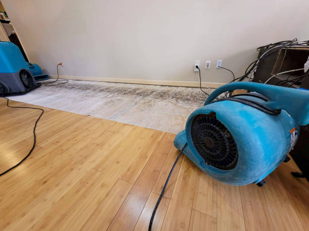 Professional Water Removal technician working in Fleming, OH